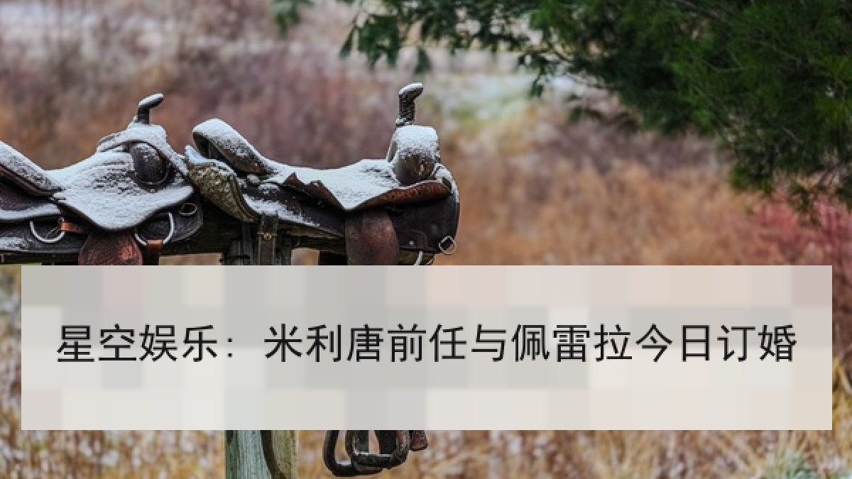 星空娱乐: 米利唐前任与佩雷拉今日订婚 星空娱乐: 米利唐前任与佩雷拉今日订婚